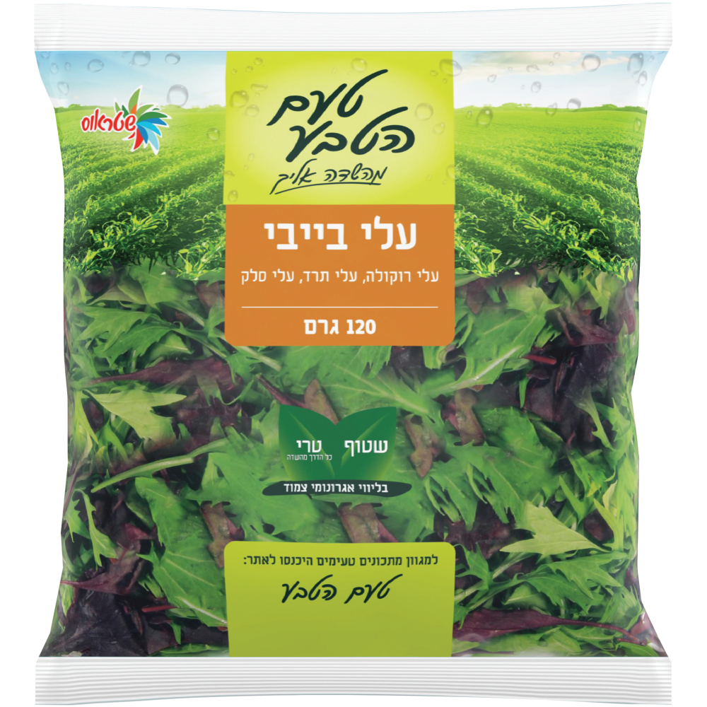 עלי בייבי