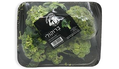 ברוקולי אמנון החקלאי