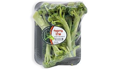 ברוקולי ארוז משק א.ש