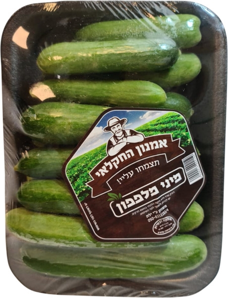מיני מלפפון אמנון החקלאי