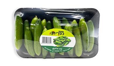 מיני מלפפונים משק כפרי חן
