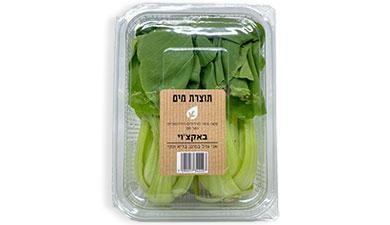 באקצוי על המים