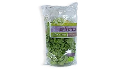 חסה לאליק כרמלים