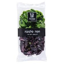 חסה סלנובה משק בכור
