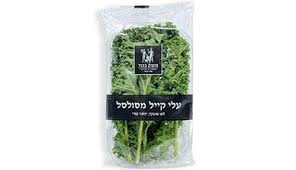 עלי קייל מסולסל משק בכור