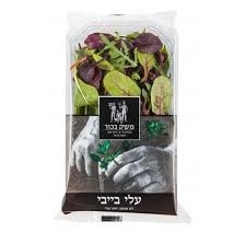 עליי בייבי משק בכור