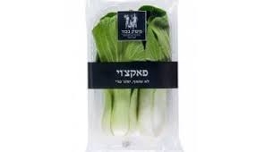 פאקצוי משק בכור