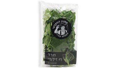 תרד ניו זילנדי אמנון החקלאי