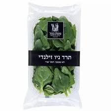 תרד ניו זילנדי משק בכור