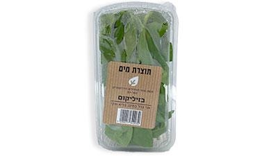 בזילוקים על מים
