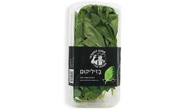 בזיליקום אמנון החקלאי