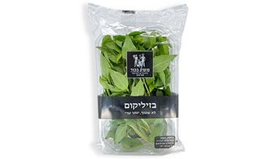 בזיליקום משק בכור