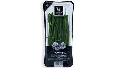 עירית משק בכור