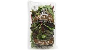 עלי בייבי אמנון החקלאי