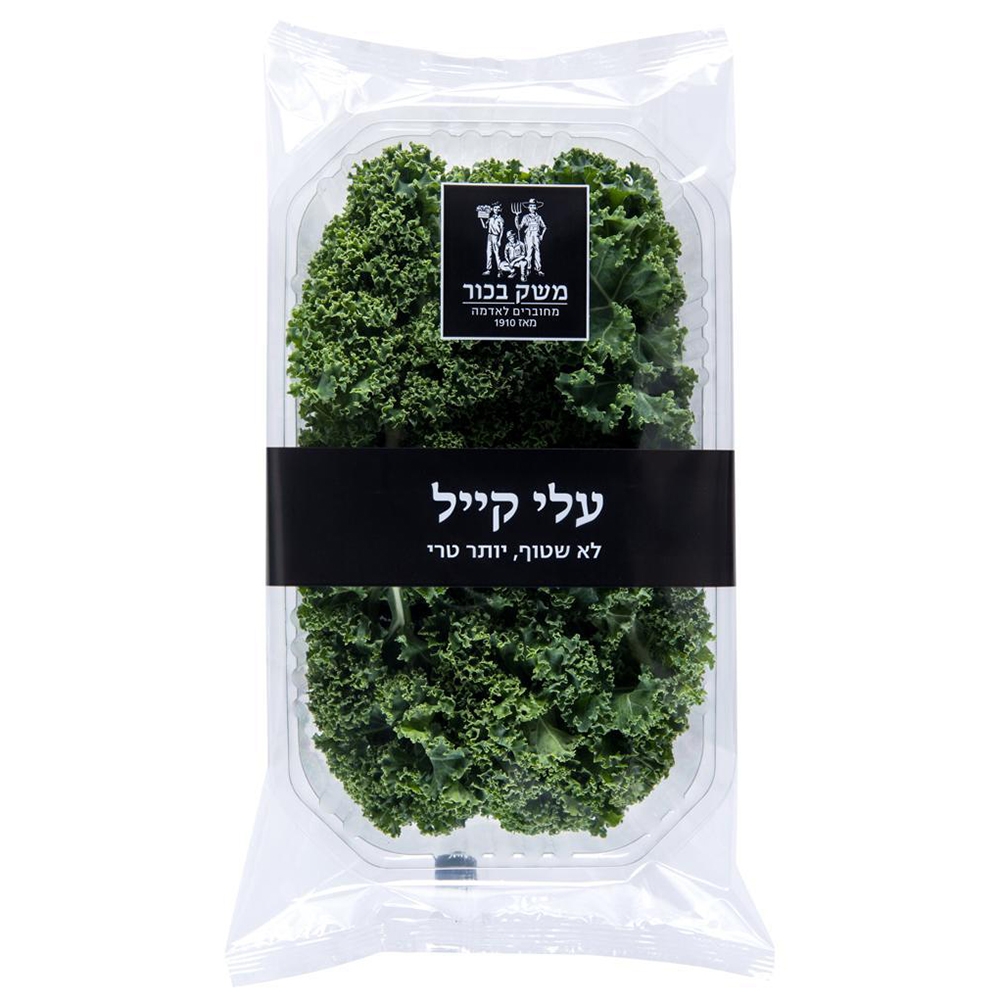 עלי קייל משק בכור