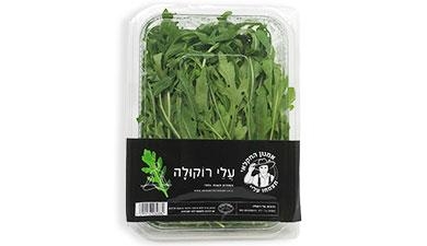 עלי רוקולה אמנון החקלאי