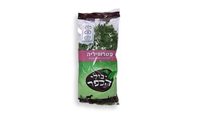 פטרוזיליה יבולי הכפר