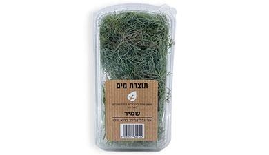 שמיר על המים