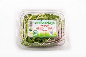 מיקס נבטים הנבטים של אודי