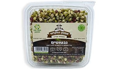 נבטוטים  נבטי העמק