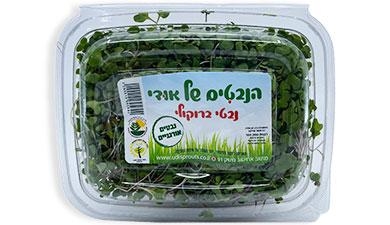 נבטי ברוקולי הנבטים של אודי