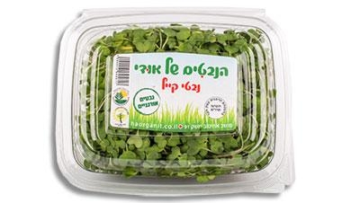 נבטי קייל הנבטים של אודי
