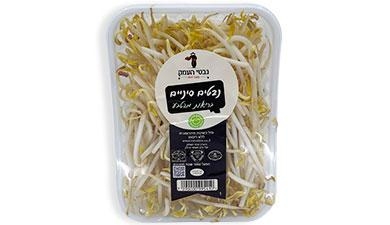נבטים סיניים נבטי העמק