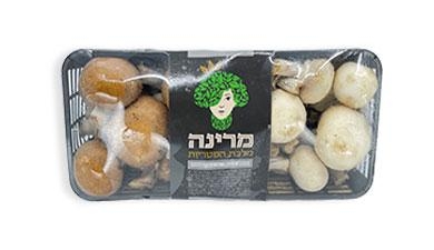 דואט פטריות איטלקי מרינה, פרימיום