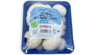 פטריות שמפניון חוות השמפיניון