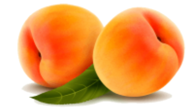 אפרסק צהוב 
